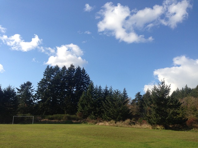 除了重要比