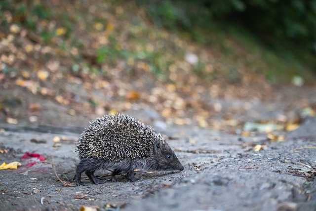 技能的提升 技能的提升
