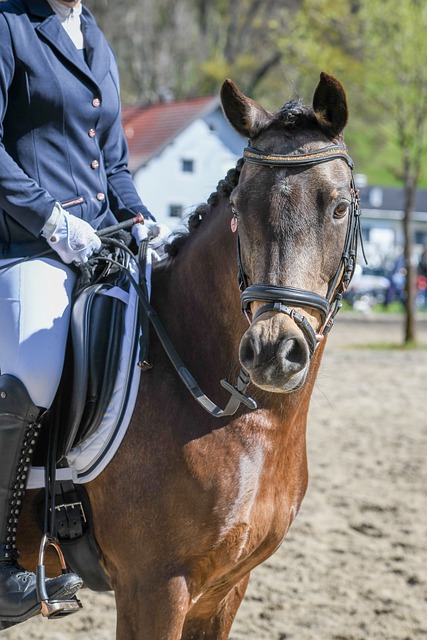 经处理直接 经处理直接