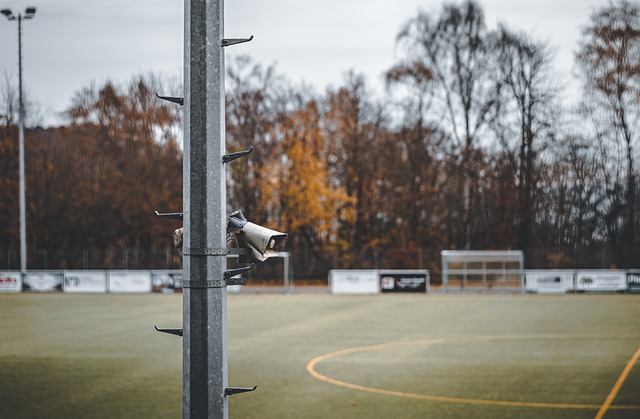 回顾与启示 回顾与启示