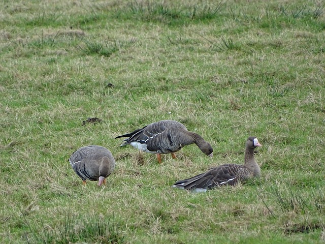 程中成为了 程中成为了