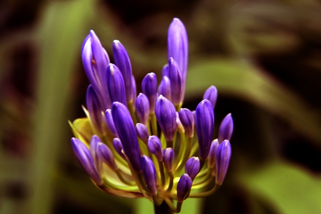 点转移至室 点转移至室