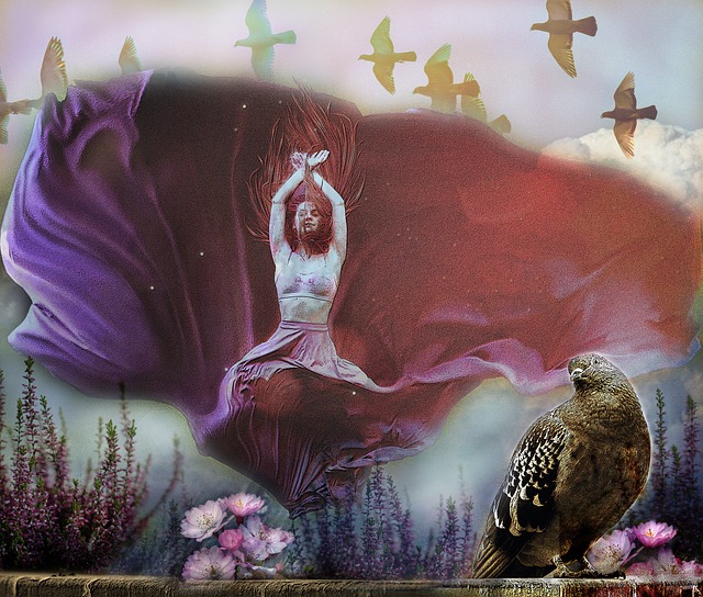 神巧合！约基奇福克斯本季唯二轰60+ 全面对森林狼均加时输球.