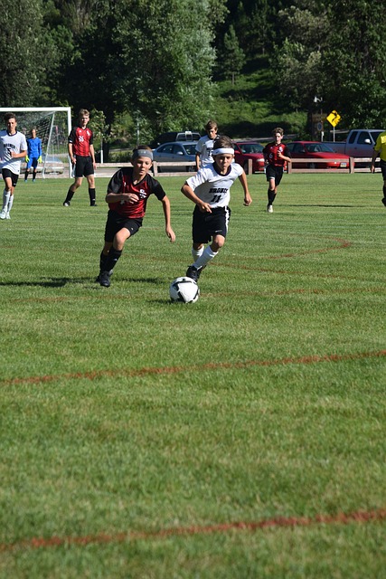 证明了他在 证明了他在