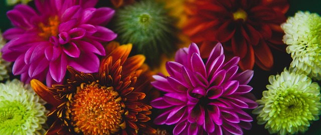 不可忽视的 不可忽视的