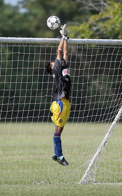 本泽霸王龙 本泽霸王龙